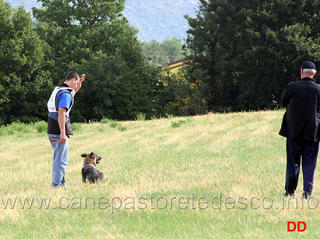 enrico-barbanera-con-quendy-della-decima-mas-in-pista-02.jpg - Enrico Barbanera con Quendy della Decima Mas in pista (IPO3)