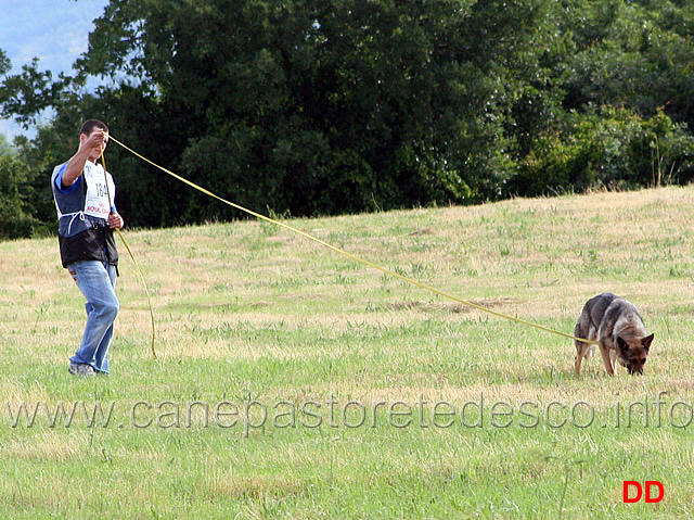 enrico-barbanera-con-quendy-della-decima-mas-in-pista-03.jpg - Enrico Barbanera con Quendy della Decima Mas in pista (IPO3)