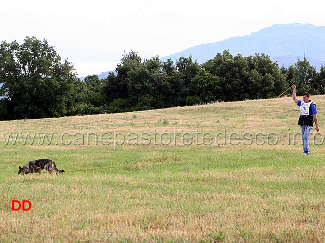 enrico-barbanera-con-quendy-della-decima-mas-in-pista-07.jpg - Enrico Barbanera con Quendy della Decima Mas in pista (IPO3)