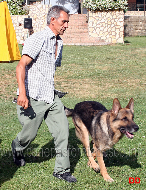 il-conduttore-bucci-con-il-cane-edo.jpg - Il conduttore Bucci con il cane Edo.