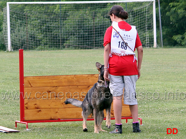 ludovica-lucchese-con-kalle-hunxer-wald-esordienti-12.jpg - Ludovica Lucchese con Kalle v. Hunxer Wald. Esordienti. Obbedienza punti 90