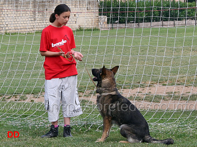 ludovica-lucchese.jpg - Ma cosa starà dicendo  Ludovica a Kalle?