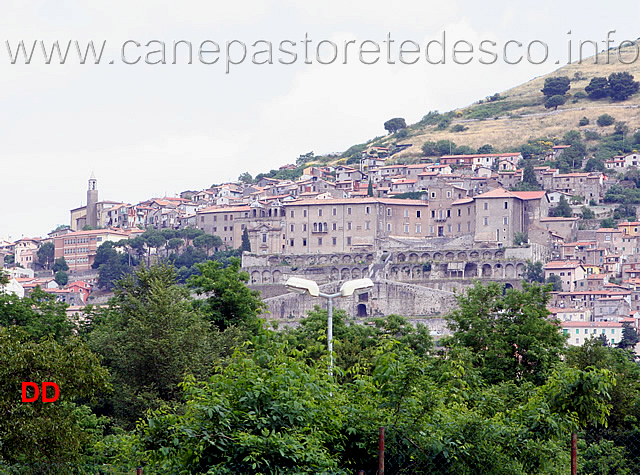 palestrina-vista-dal-campo-di-gara-.jpg - Palestrina vista dal campo di gara.