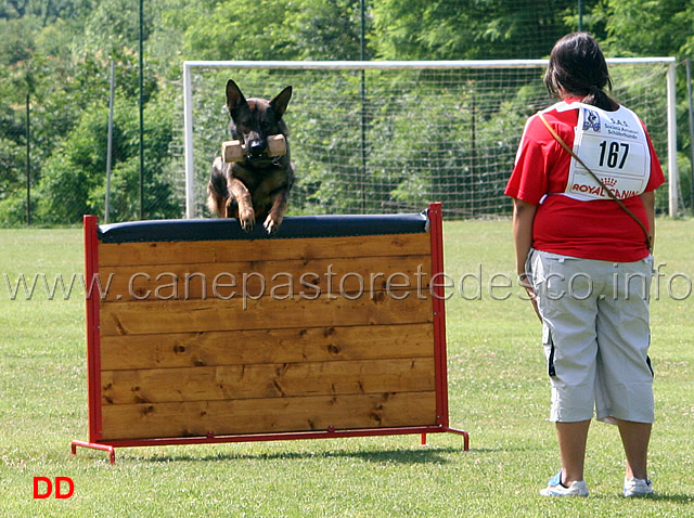 silvia-lucchese-con-beck-IPO1-08.jpg - Silvia Lucchese con Beck. IPO1