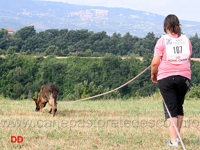 silvia-lucchese-con-beck-in-pista.jpg - Silvia Lucchese con Beck in pista (IPO1)