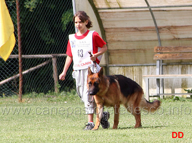 sofia-loizzi-con-rover-godalis-esordienti-03.jpg - Sofia Loizzi con Rover v. Godalis. Esordienti