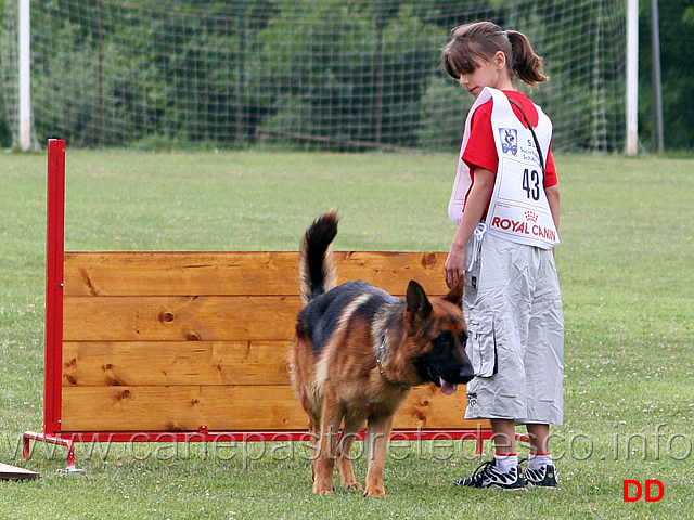 sofia-loizzi-con-rover-godalis-esordienti-12.jpg - Sofia Loizzi con Rover v. Godalis. Esordienti. Obbedienza punti 73