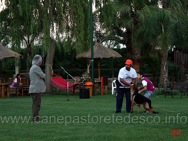 043.jpg - A lezione. Come si presentano i cani