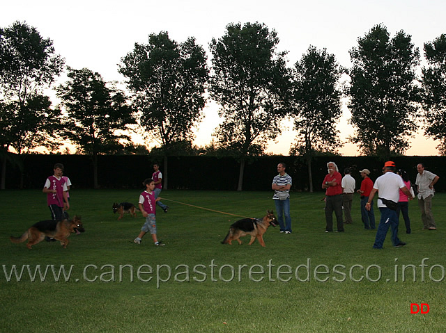 044.jpg - A lezione. Come si presentano i cani