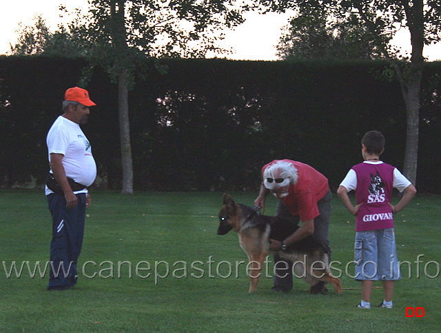 045.jpg - A lezione. Come si presentano i cani