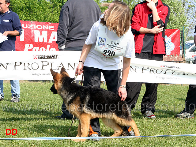 048.jpg - Classe Juniores maschi 6 P Onix di Casa Libardi