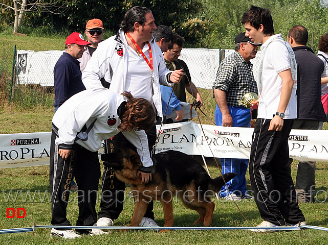 049.jpg - Giovane portatore e giovane chiamatore per Quando di Belpoggio