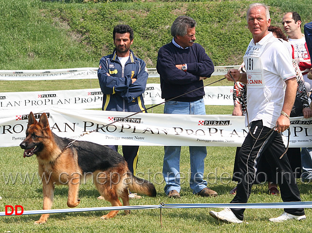 135.jpg - Classe Giovanissimi maschi Boris di Belpoggio