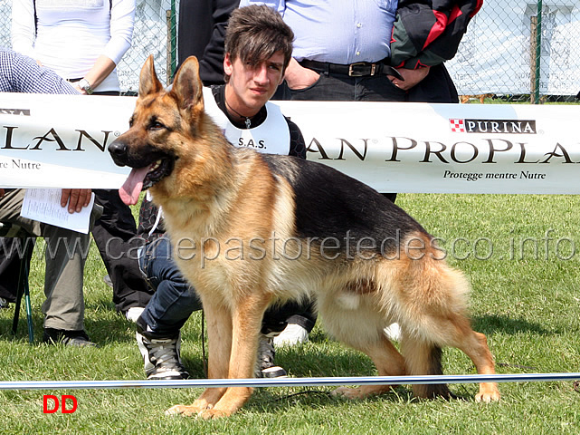153.jpg - Classe Giovanissimi maschi 4 MB Dasch della Valle dell'Arno
