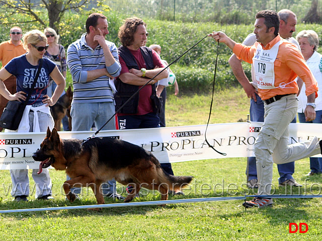 206.jpg - Classe Giovani maschi Homar dei Colli di Uzzano