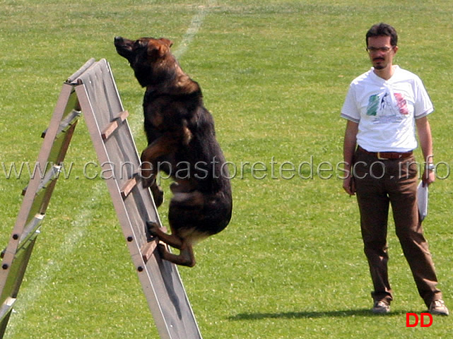 008.jpg - Vito della Decima Mas  B 75 punti IPO3