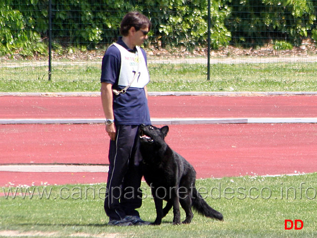 017.jpg - Orlando Aprea con Boss della Decima Mas B punti 86 (6 classificato IPO3)