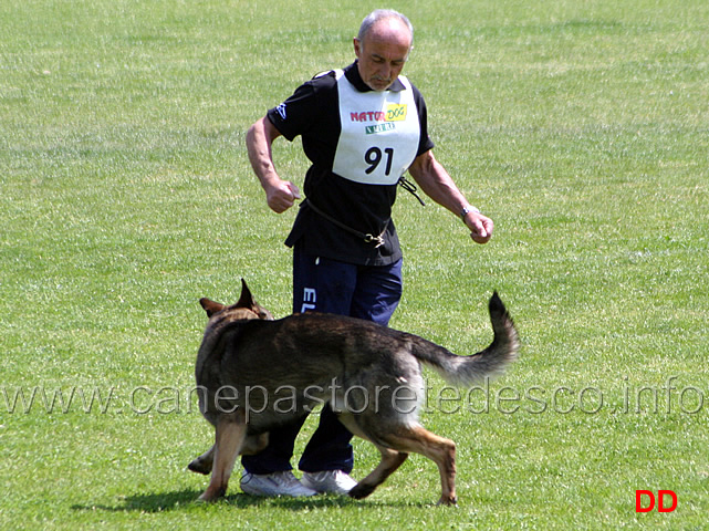 024.jpg - Franco Zappi con Eliott B punti 90 IPO3