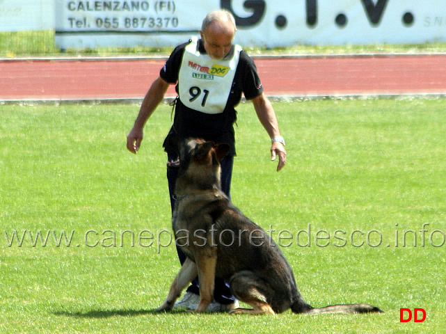 029.jpg - Franco Zappi con Eliott B punti 90 IPO3