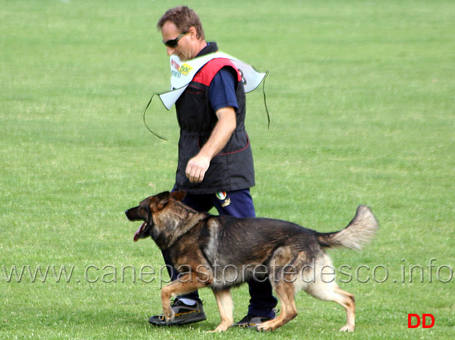 157.jpg - Giorgio Manuelli con Orry IPO3 B punti 82