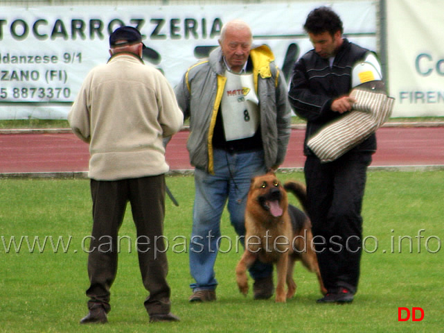 189.jpg - Raffaele Nappi con Arro di Casa Nappi IPO3 C  77 punti