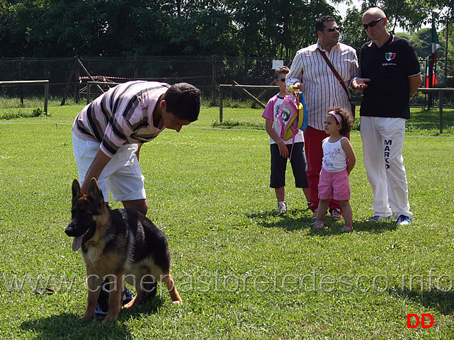 prova-pratica-ciascun-ragazzo-prova-a-piazzare-il-cane-03.jpg - Prova pratica: ciascun ragazzo prova a piazzare il cane