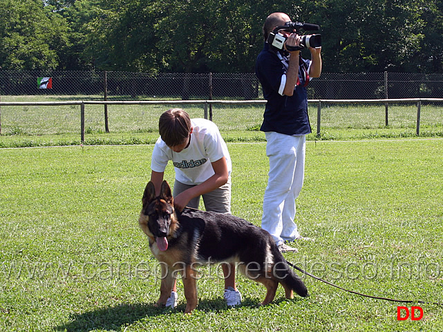 prova-pratica-ciascun-ragazzo-prova-a-piazzare-il-cane-04.jpg - Prova pratica: ciascun ragazzo prova a piazzare il cane