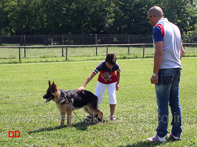 prova-pratica-ciascun-ragazzo-prova-a-piazzare-il-cane-06.jpg - Prova pratica: ciascun ragazzo prova a piazzare il cane