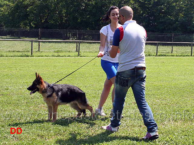 prova-pratica-ciascun-ragazzo-prova-a-piazzare-il-cane-08.jpg - Prova pratica: ciascun ragazzo prova a piazzare il cane