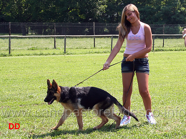 prova-pratica-ciascun-ragazzo-prova-a-piazzare-il-cane-09.jpg - Prova pratica: ciascun ragazzo prova a piazzare il cane