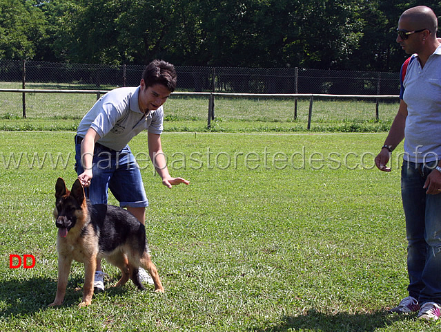 prova-pratica-ciascun-ragazzo-prova-a-piazzare-il-cane-12.jpg - Prova pratica: ciascun ragazzo prova a piazzare il cane