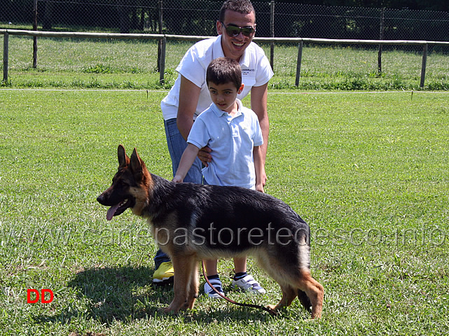 prova-pratica-ciascun-ragazzo-prova-a-piazzare-il-cane-16.jpg - Prova pratica: ciascun ragazzo prova a piazzare il cane