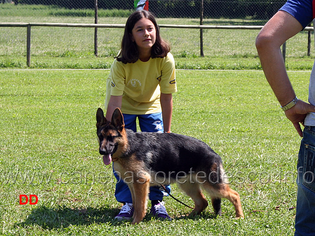 prova-pratica-ciascun-ragazzo-prova-a-piazzare-il-cane-18.jpg - Prova pratica: ciascun ragazzo prova a piazzare il cane