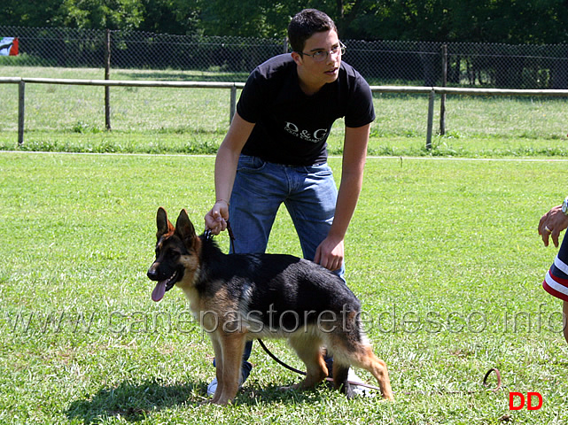 prova-pratica-ciascun-ragazzo-prova-a-piazzare-il-cane-19.jpg - Prova pratica: ciascun ragazzo prova a piazzare il cane