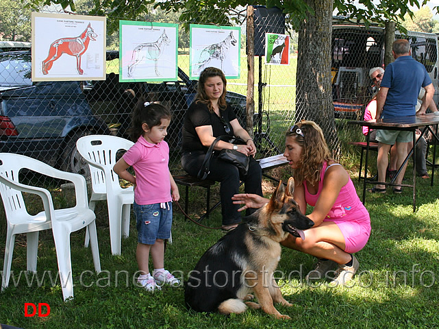 ragazzi-genitori-cani-e-le-tavole-di-gorrieri.jpg - Ragazzi, genitori, cani e le immancabili tavole di Gorrieri