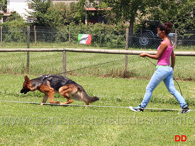 simulazione-di-un-raduno-03.jpg - Simulazione di un raduno