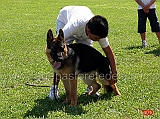 prova-pratica-ciascun-ragazzo-prova-a-piazzare-il-cane-02