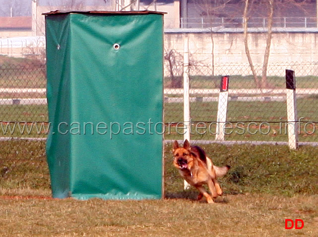 018.jpg - Bloom (IPO2 fase C: 77 punti) 2 classificata (tot. 245 B)