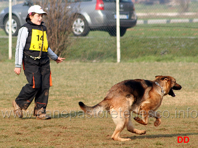 019.jpg - Anna Zampieri con Bloom (IPO2 fase C: 77 punti) 2 classificata (tot. 245 B)