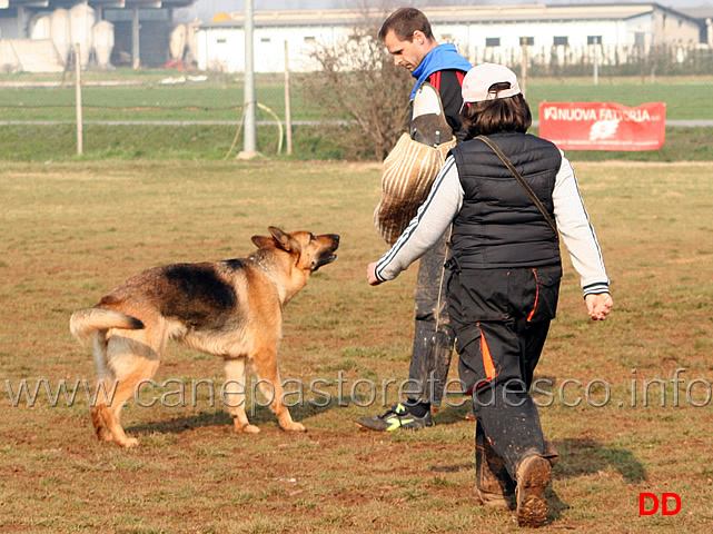 027.jpg - Anna Zampieri con Bloom (IPO2 fase C: 77 punti) 2 classificata (tot. 245 B)