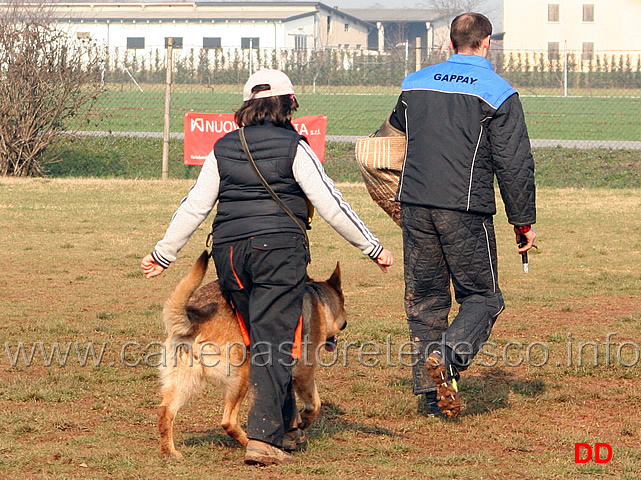 030.jpg - Anna Zampieri con Bloom (IPO2 fase C: 77 punti) 2 classificata (tot. 245 B)