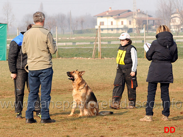 037.jpg - Anna Zampieri con Bloom (IPO2 fase C: 77 punti) 2 classificata (tot. 245 B)