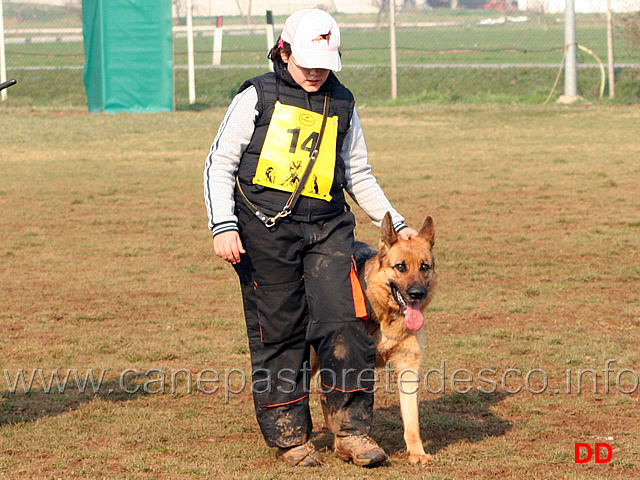 044.jpg - Anna Zampieri con Bloom (IPO2 fase C: 77 punti) 2 classificata (tot. 245 B)