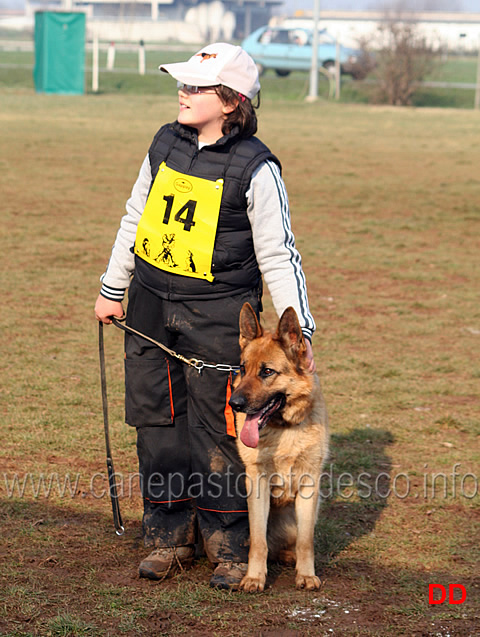 046.jpg - Anna Zampieri con Bloom (IPO2 fase C: 77 punti) 2 classificata IPO2