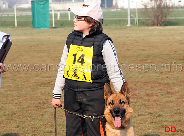 048.jpg - Anna Zampieri con Bloom (IPO2 fase C: 77 punti) 2 classificata IPO2