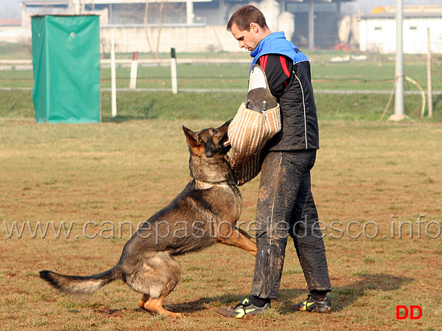 056.jpg - Major v.d.Friesenklippe IPO2 fase C: 90 punti conduttore Florian Steinacher 1 classificato (tot.274 MB)