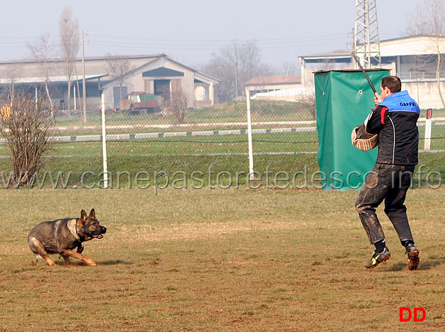 059.jpg - Major v.d.Friesenklippe IPO2 fase C: 90 punti conduttore Florian Steinacher 1 classificato (tot.274 MB)