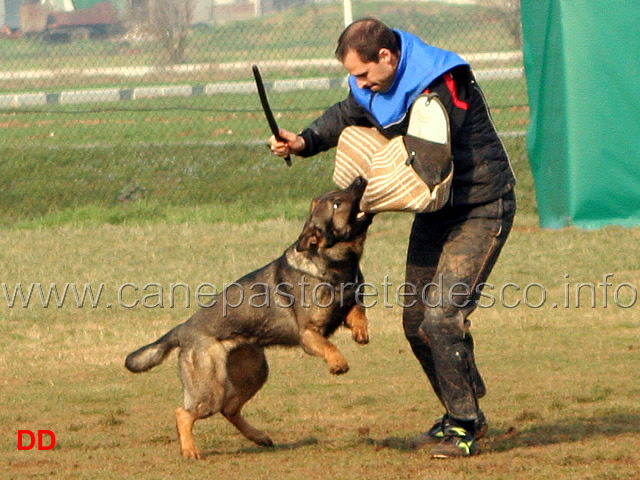 061.jpg - Major v.d.Friesenklippe IPO2 fase C: 90 punti conduttore Florian Steinacher 1 classificato (tot.274 MB)