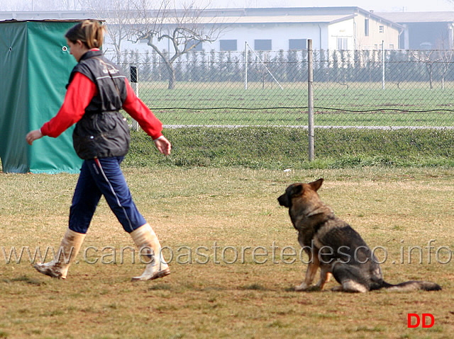 069.jpg - IPO3 Mirka conduttrice Luana Zoli fase B punti 85
