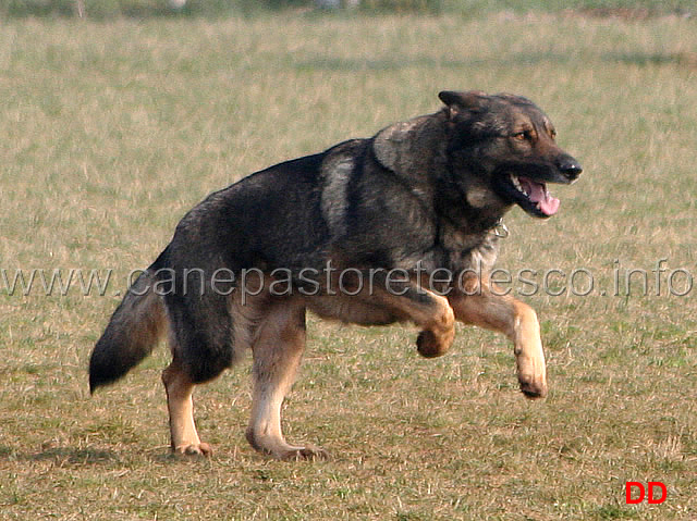 071.jpg - IPO3 Mirka fase B punti 85